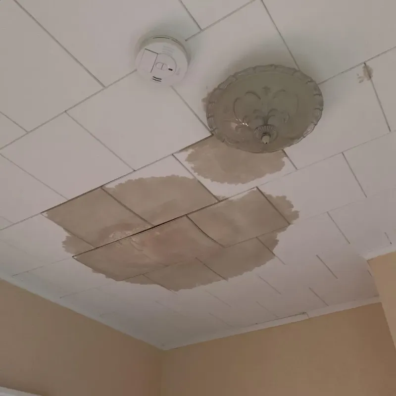 Ceiling Water Damage Repair in Fishersville, VA
