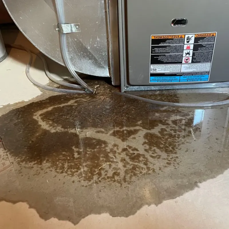 Pipe Burst and Leak Restoration in Fishersville, VA