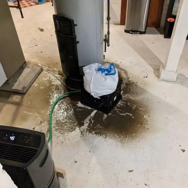 Sewage Backup Cleanup Service in Fishersville, VA